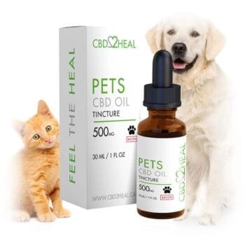 CBD Isolate Oil for Medium Size Dogs (BACON), 500mg