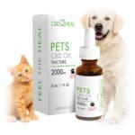 CBD Isolate Oil for Large Dogs (BACON), 2000mg