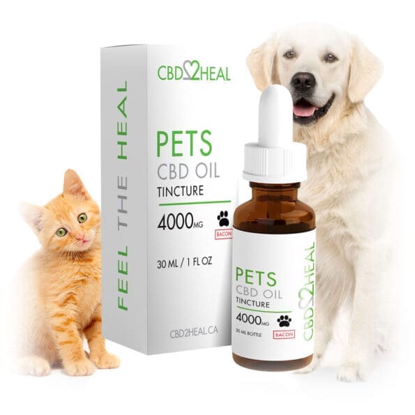 CBD Isolate Oil for Large Dogs (BACON), 4000mg