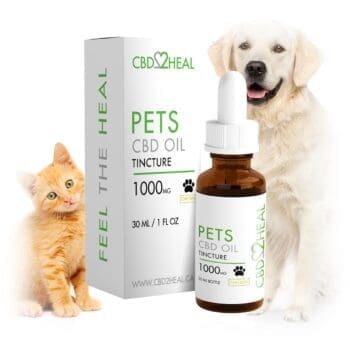 CBD Isolate Oil for Large Dogs (CHICKEN), 1000mg